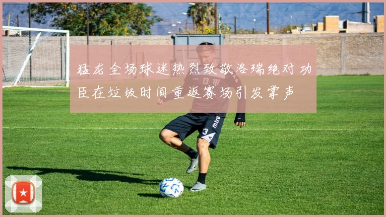 猛龙全场球迷热烈致敬洛瑞绝对功臣在垃圾时间重返赛场引发掌声