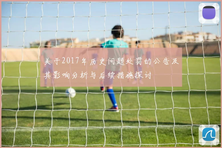 关于2017年历史问题处罚的公告及其影响分析与后续措施探讨