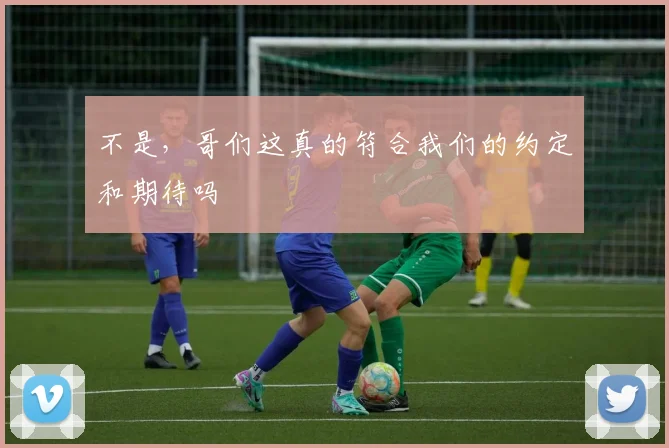 不是，哥们这真的符合我们的约定和期待吗